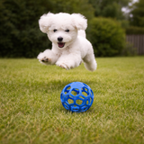 Dog & Cat Rubber Ball Chew Toy
