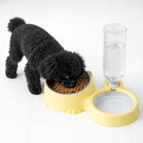 Stainless Steel Dog & Cat Food Bowl and Water Dispenser