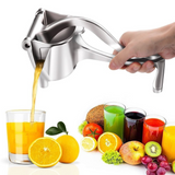 Stainless Steel Juicer