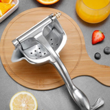 Stainless Steel Juicer